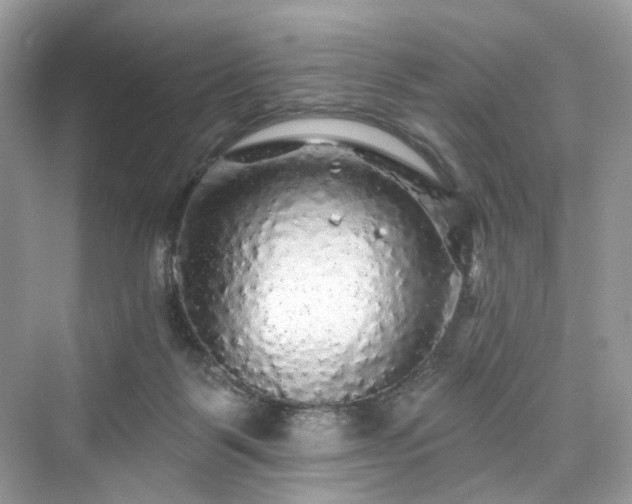 X0000076070123200609291327
