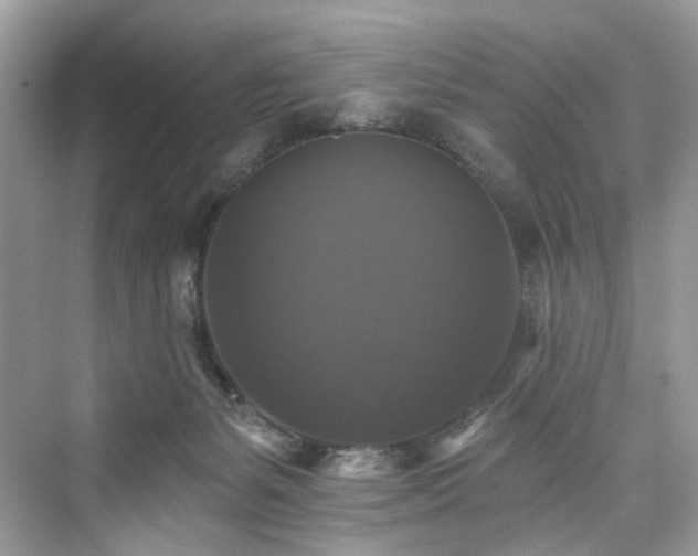 X0000076070127200609291327