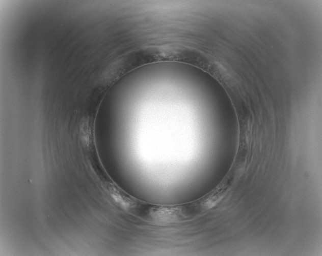 X0000076070129200609291327