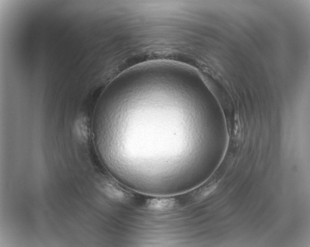 X0000076070135200609291327