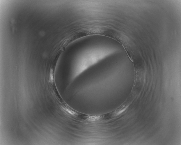 X0000076070143200609291326