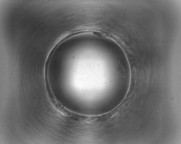 X0000076070148200609291326