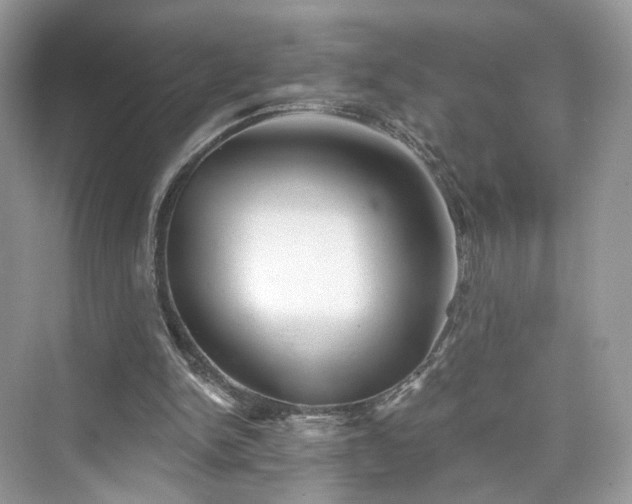 X0000076070150200609291326