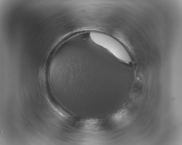 X0000076070156200609291326