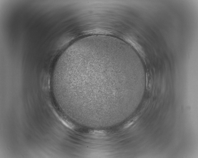 X0000076070157200609291326