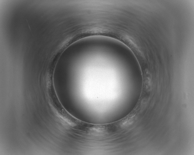 X0000076070164200609291326