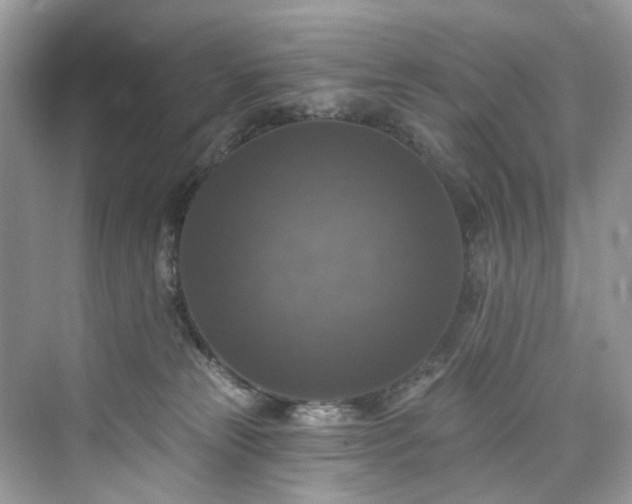 X0000076070181200609291326