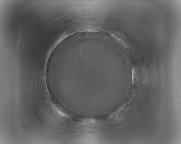 X0000076070195200609291326