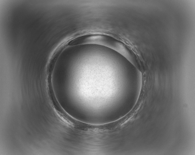 X0000076070197200609291326