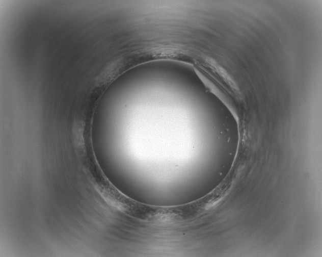 X0000076070209200609291325