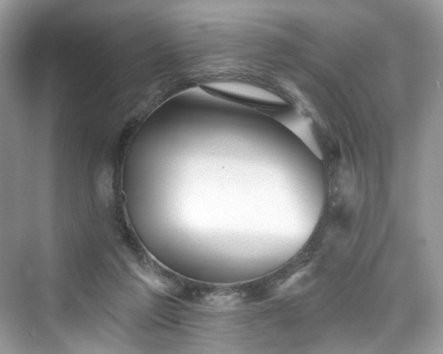X0000076070213200609291325
