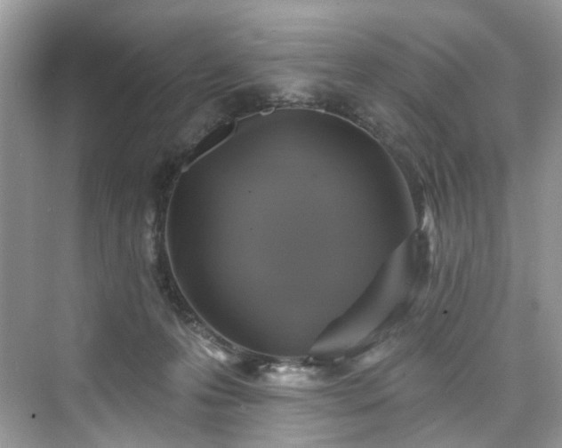 X0000076070223200609291325