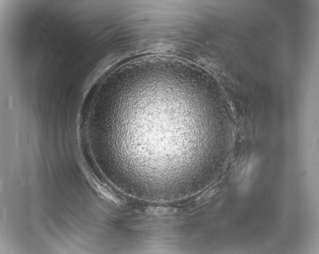 X0000076070242200609291324