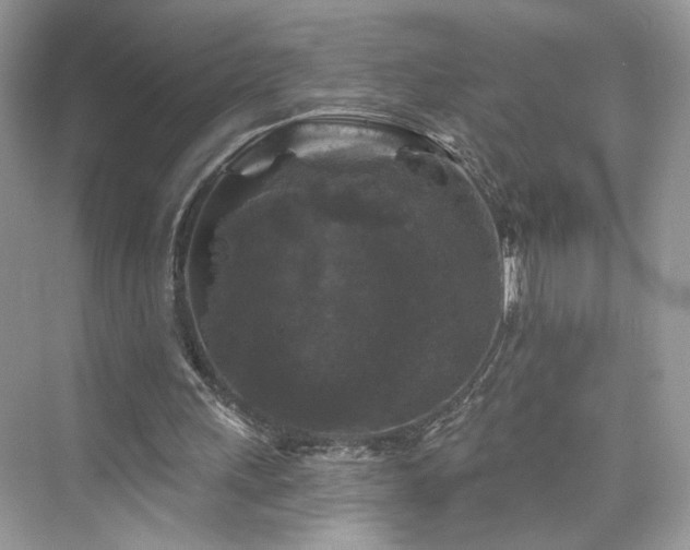 X0000076070243200609291324