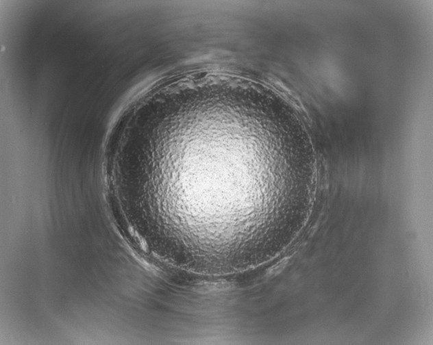 X0000076070245200609291324