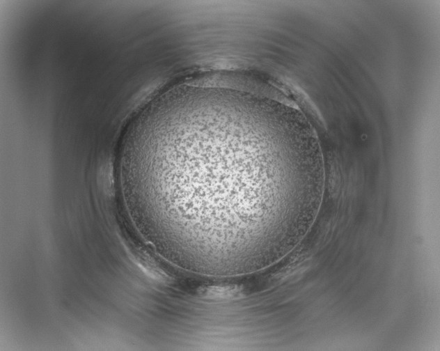 X0000076070251200609291324