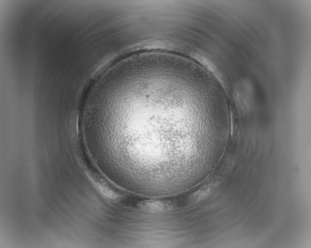 X0000076070253200609291324