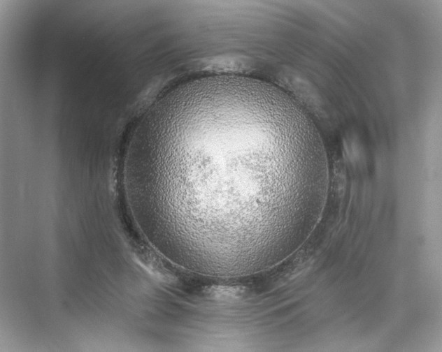 X0000076070255200609291324