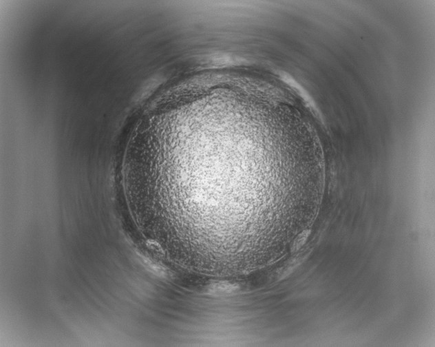 X0000076070257200609291324