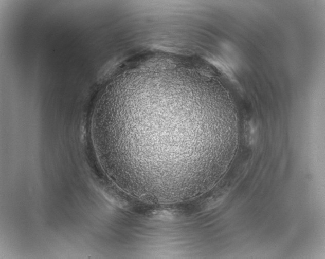X0000076070259200609291324