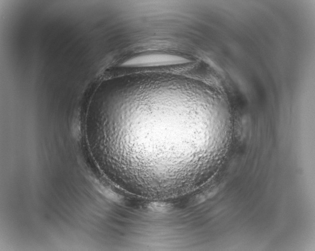 X0000076070261200609291324