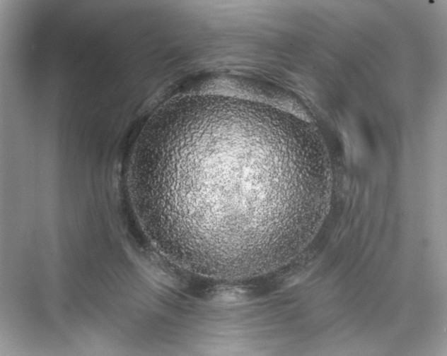 X0000076070263200609291324