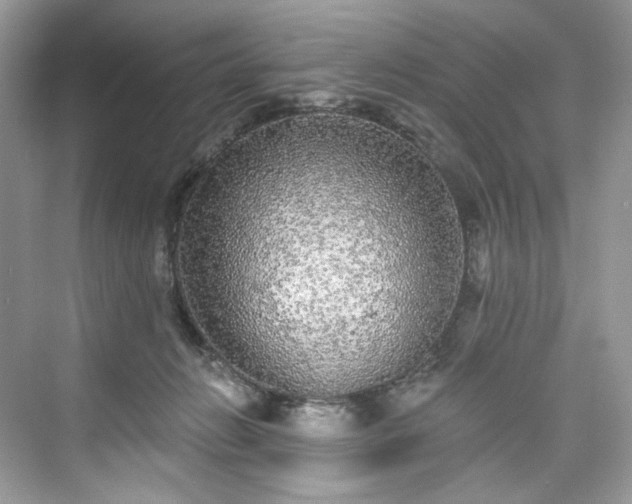 X0000076070270200609291325