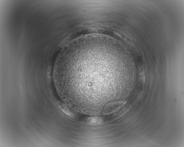 X0000076070275200609291325