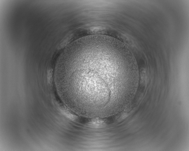 X0000076070278200609291325