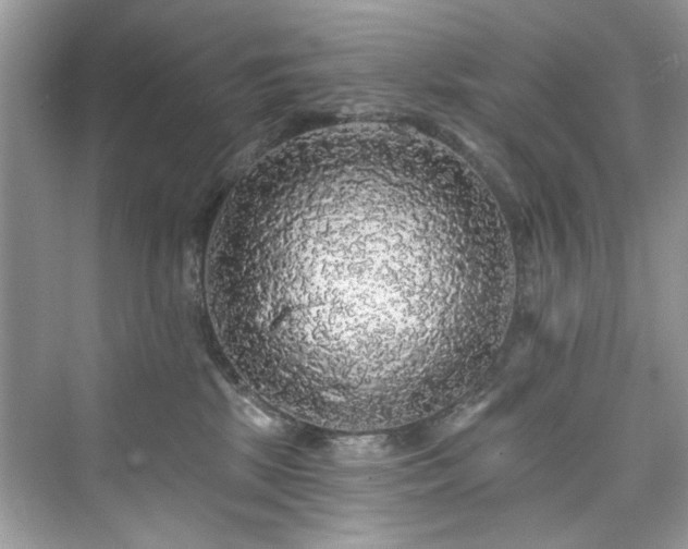 X0000076070281200609291325