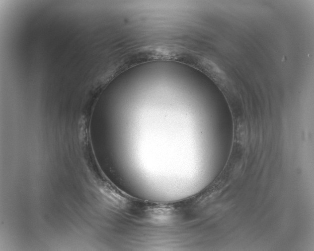 X0000076070318200609291324