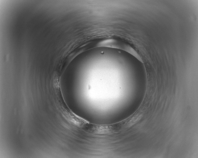 X0000076070384200609291323