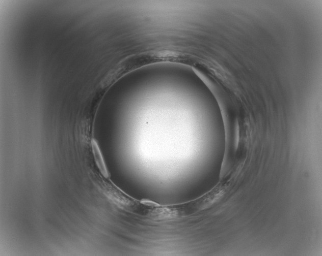 X0000076070421200609291322
