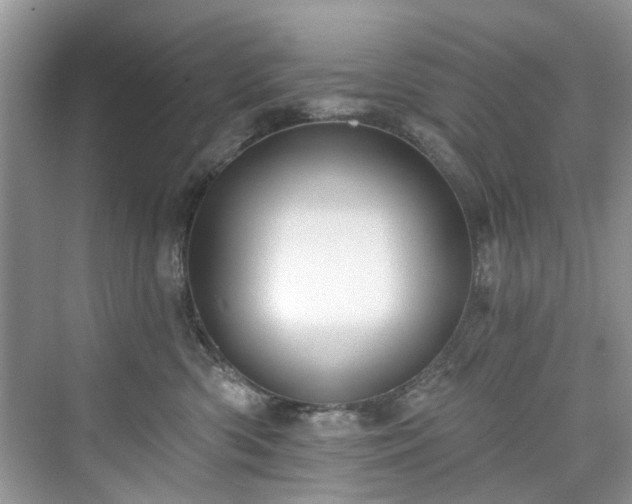 X0000076070426200609291322