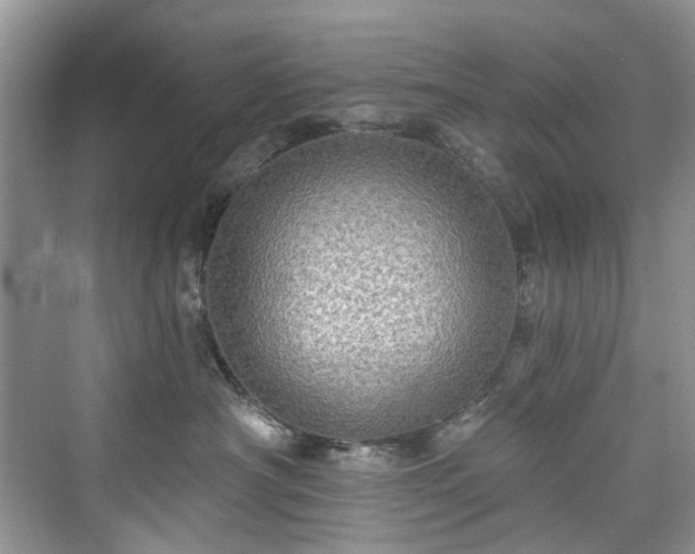 X0000076070430200609291322