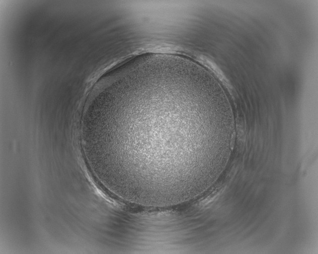 X0000076070433200609291321