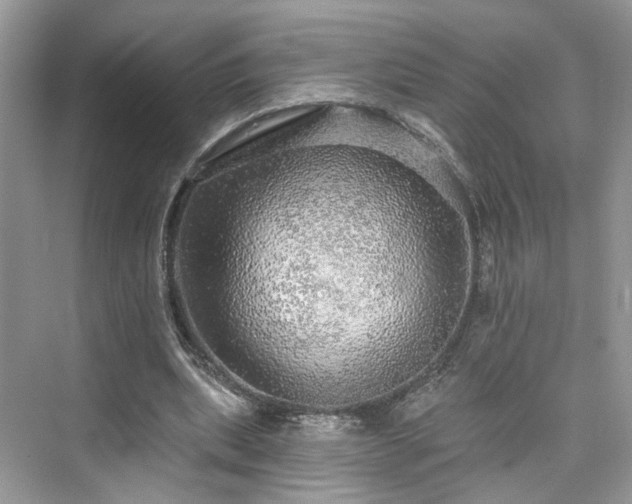 X0000076070439200609291321