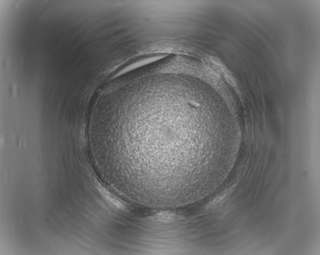 X0000076070441200609291321