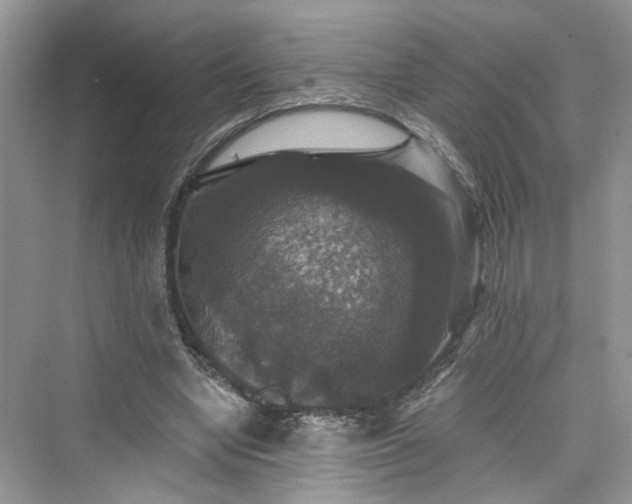 X0000076070442200609291321