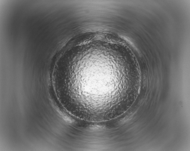 X0000076070453200609291321