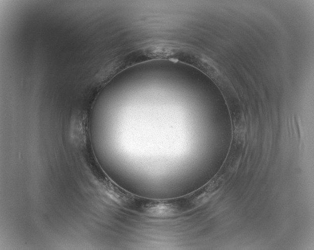 X0000076070460200609291321