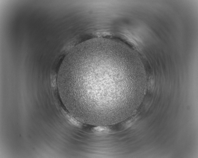 X0000076070477200609291322
