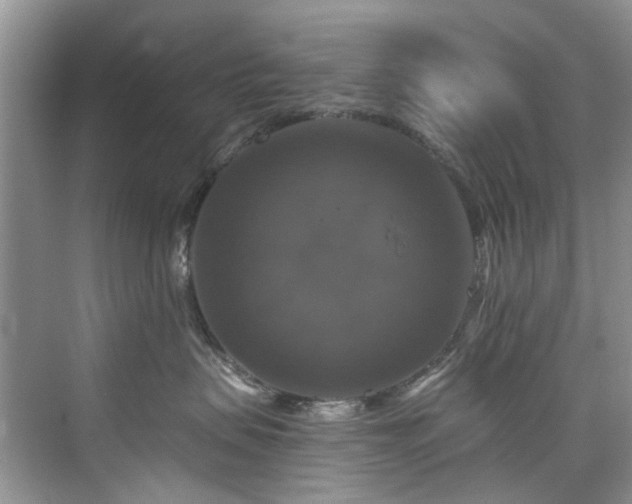 X0000076070479200609291322