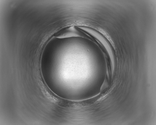X0000076070481200609291321