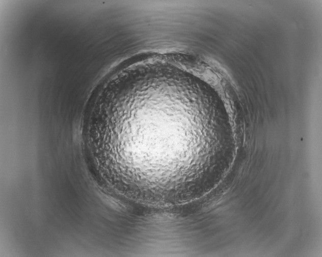 X0000076070483200609291321