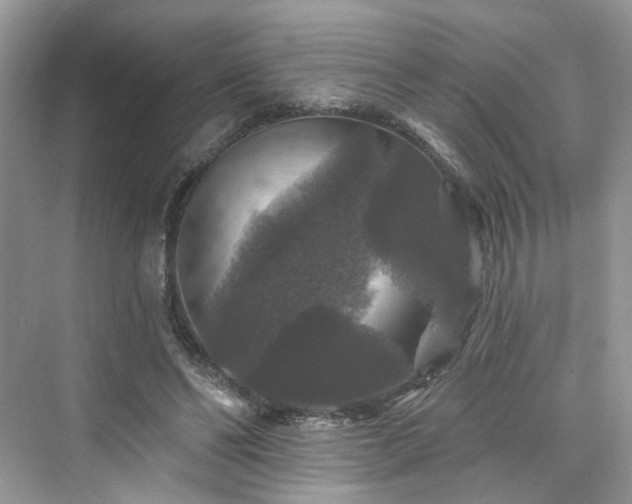 X0000076070494200609291321