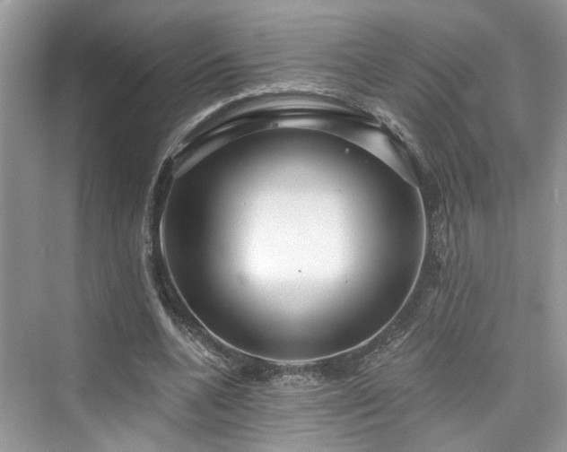 X0000076070536200609291319