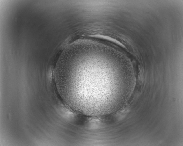 X0000076070574200609291320
