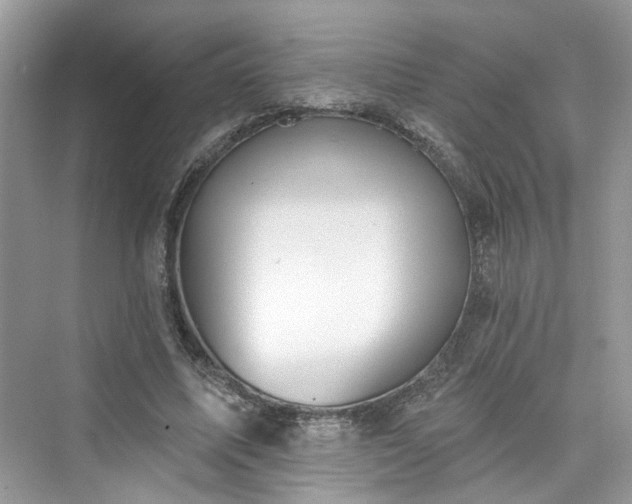 X0000076070587200609291319