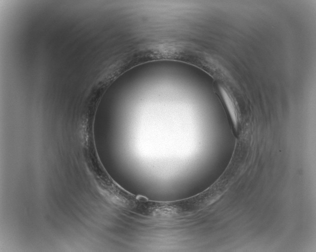 X0000076070599200609291319